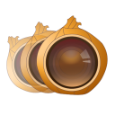 Onion Photo Skin