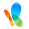 Portail MSN Icon