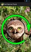 Owl Spinner Prank screenshot 0