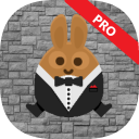 Rabbit Jump Pro