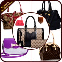 Women Handbag Ideas Icon