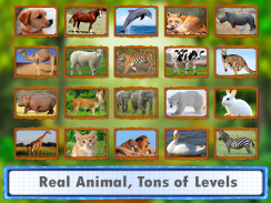 Chó câu đố ghép hình động vật screenshot 1