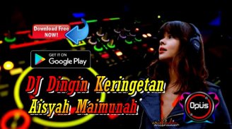 DJ Dingin Keringetan Aisyah Maimunah Remix Viral screenshot 0