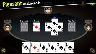 29 Card Game screenshot 5