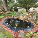 Fish Pond Design Ideas