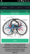 Human Organs Anatomy Reference Guide screenshot 6