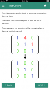DIY Matrix Calculator screenshot 14