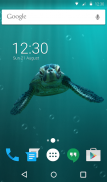 Cute Turtle Wallpaper Theme screenshot 4