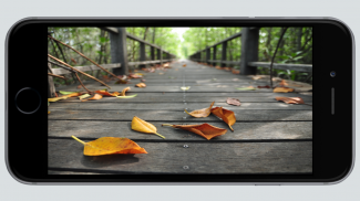 Camera Pro - Best Autofocus screenshot 2