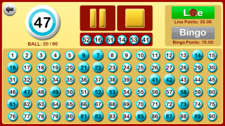 Bingo at Home screenshot 7