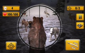 Wild Animal Shooting screenshot 4