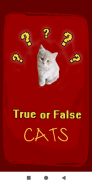 True False Trivia Cats quiz screenshot 8