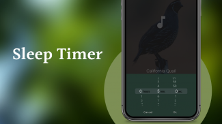 Quail Sounds & Calls screenshot 7