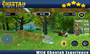 Angry Cheetah Wild Attack Sim screenshot 7