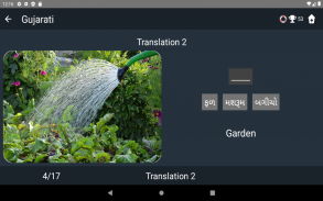 Gujarati Language Tests screenshot 22