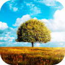Awesome-Land 2 live wallpaper : Plant a Tree !! Icon