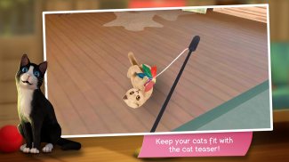 CatHotel - Pflege süße Katzen screenshot 3