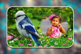 Birds Photo Frames screenshot 0