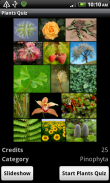 Plants Quiz - for botanists screenshot 5