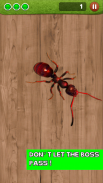 Ant Smasher Free Game screenshot 9