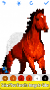 Horse Pixel Art Coloring Book screenshot 6