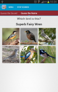 Australian Birds Sounds Free screenshot 21