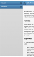 Peces screenshot 3