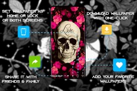 Skull Wallpapers and Backgrounds screenshot 4