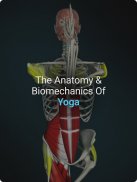 Yoga Anatomy screenshot 8