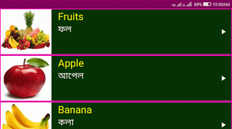 Learn English From Bangla screenshot 4