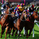 Horse Racing Wallpapers Icon