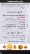Gharelu Ilaj screenshot 4
