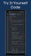 Learn CSS screenshot 8