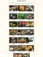 Shroomify - UK Mushroom ID screenshot 2