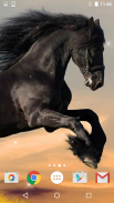 Horses Live Wallpaper HD screenshot 4