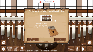 Kalimba Real screenshot 11