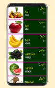 Learn Urdu From Hindi screenshot 14