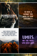 Best Wise Life Quotes and Sayings screenshot 4