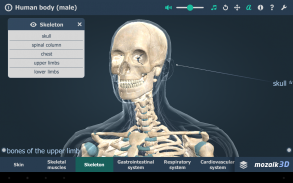 Menselijk lichaam 3D screenshot 8