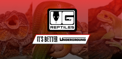 Underground Reptiles