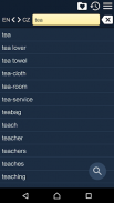 English Czech Dictionary screenshot 9