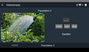 Vietnamese Language Tests screenshot 23