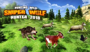 Hunting Wild Wolf Sniper 3D screenshot 3