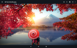 File Viewer for Android screenshot 12