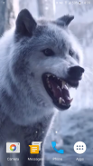 Wolf Video Live Wallpaper screenshot 5