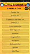 Bacteria Identification Made Easy | Free & Offline screenshot 2