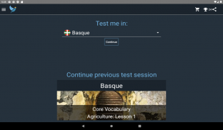 Basque Language Tests screenshot 23