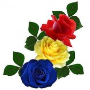 Flowers and Roses Images Wallpaper Gif 4K screenshot 6