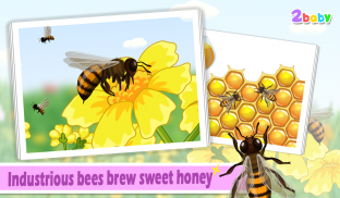 昆虫世界-蜜蜂 有趣的儿童互动绘本故事书 screenshot 0