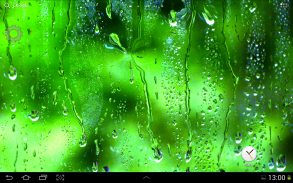 Rain Live Wallpaper screenshot 1